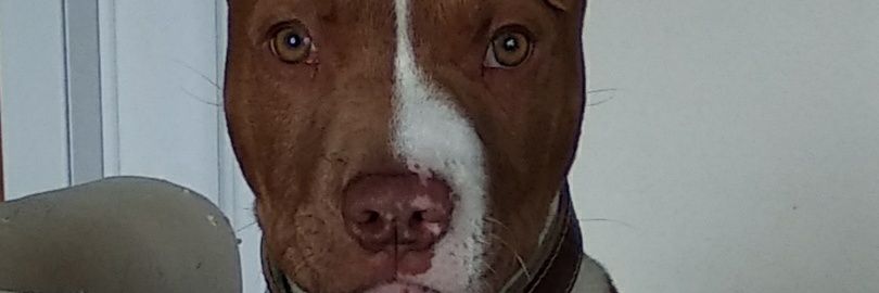 bebe_gp's profile banner image