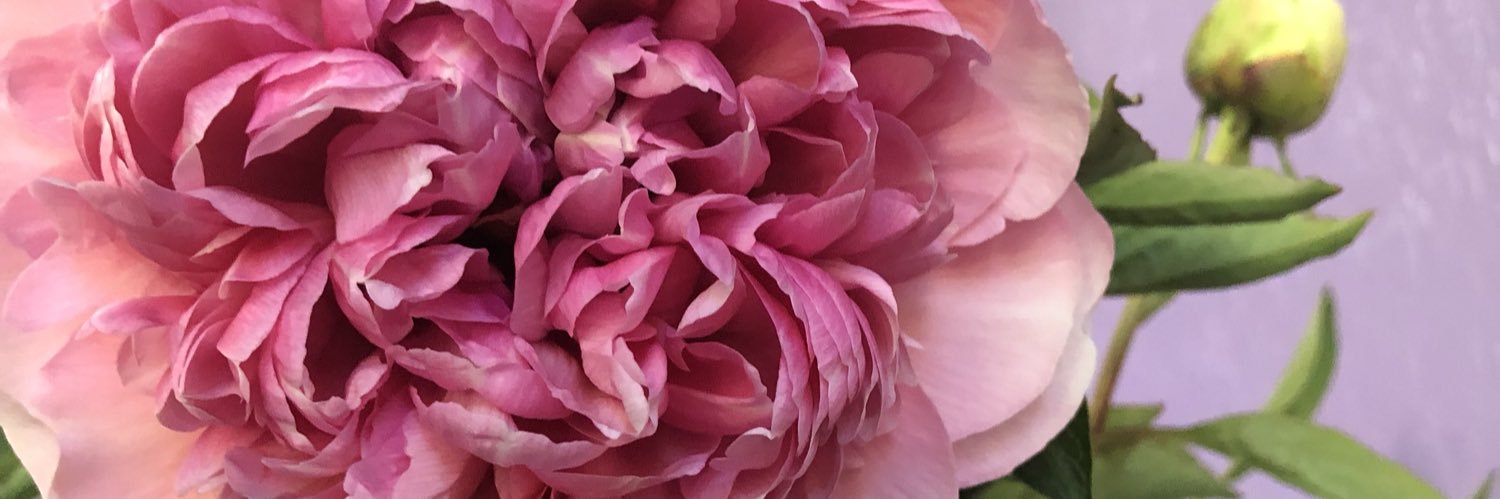 taybeth19's profile banner image