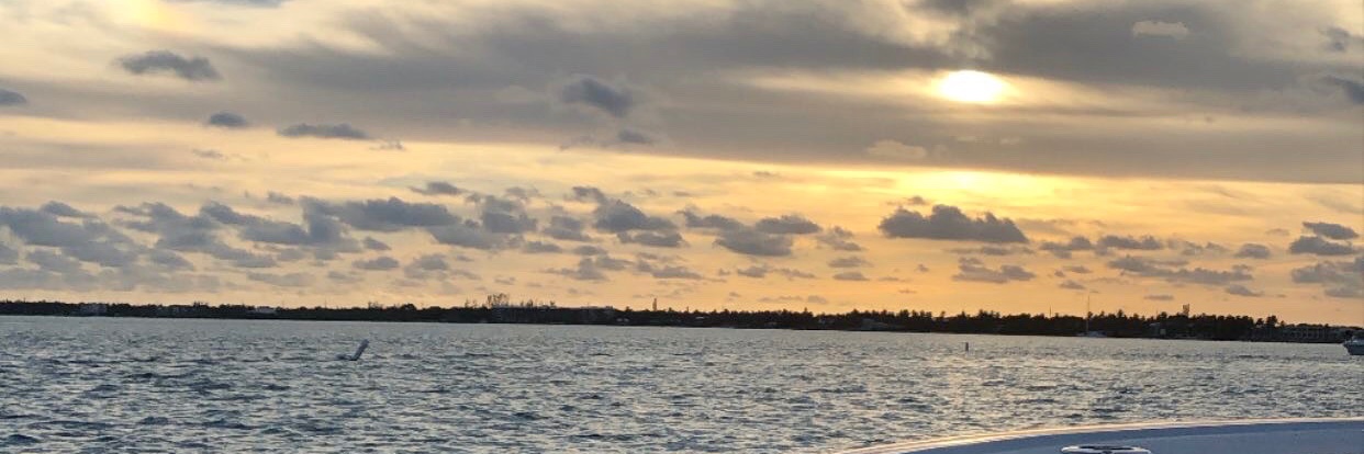 mqc92's profile banner image