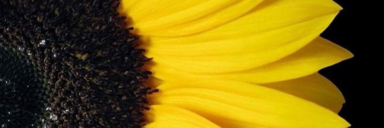 ‏ᴺᴬᴶᴸᴬ banner