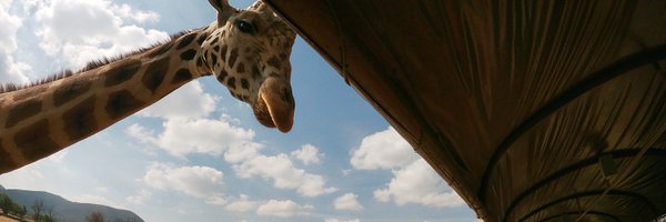 sammygn Profile Banner