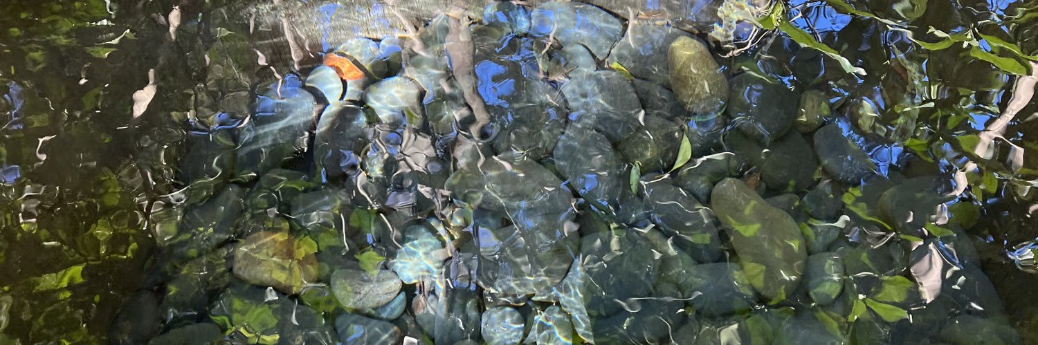 ナカバヤシ(ザ・マルフォイズ) banner