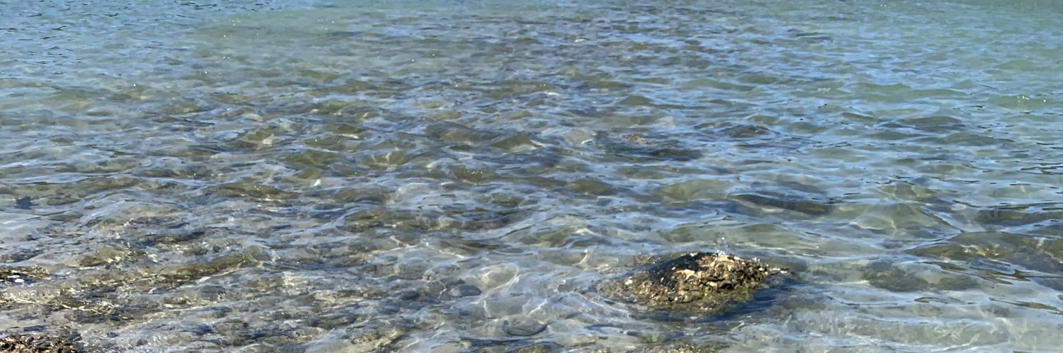 LaahMiller's profile banner image