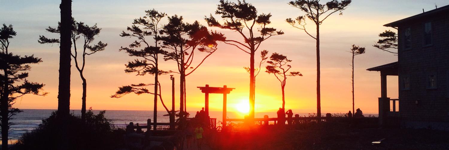 AnnaSahlin7's profile banner image