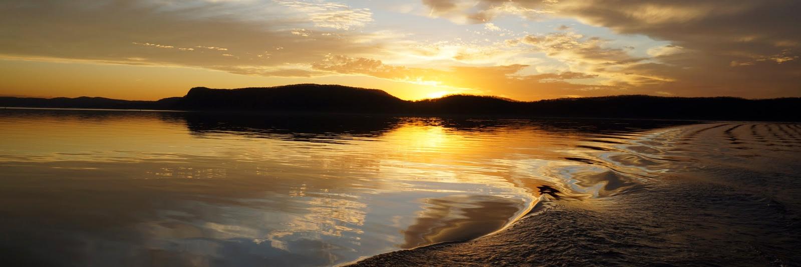 Daniel Estrin banner