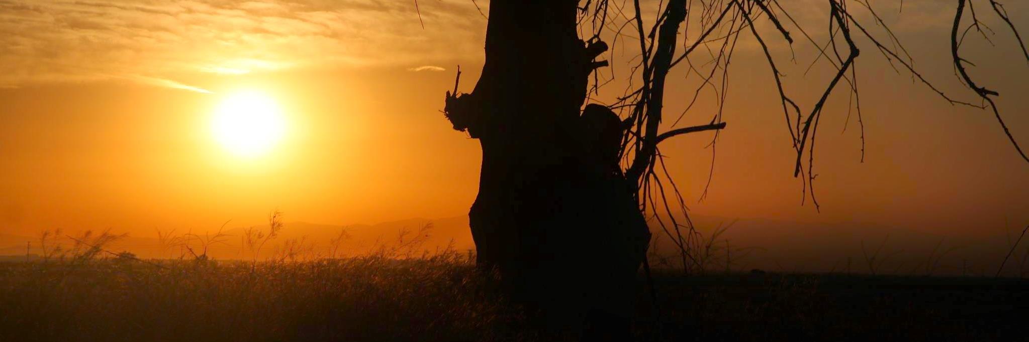 HoundCat's profile banner image