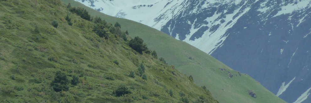 AMAZAR_ZAB's profile banner image