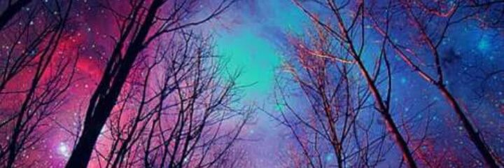 sofimaroun's profile banner image