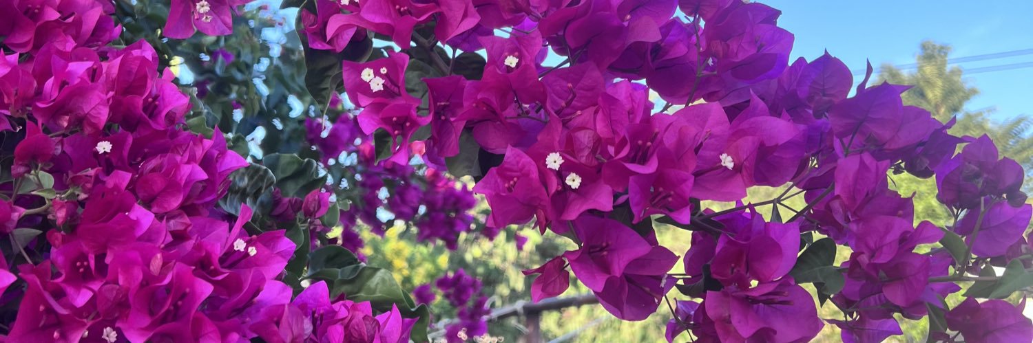 giselle869's profile banner image