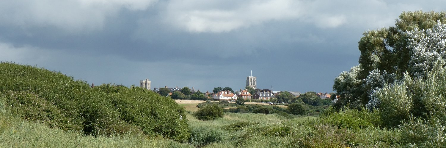 Sarah Lambert banner