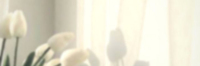 fpu_chu's profile banner image