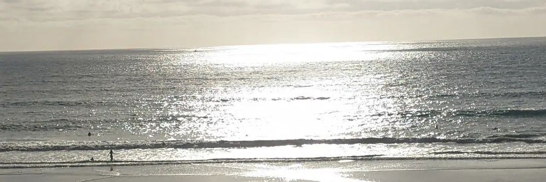TPersinger1's profile banner image