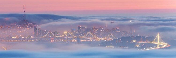 мιѕѕ ℓσρєz banner