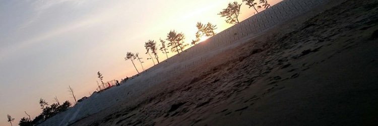 roronoataryan's profile banner image