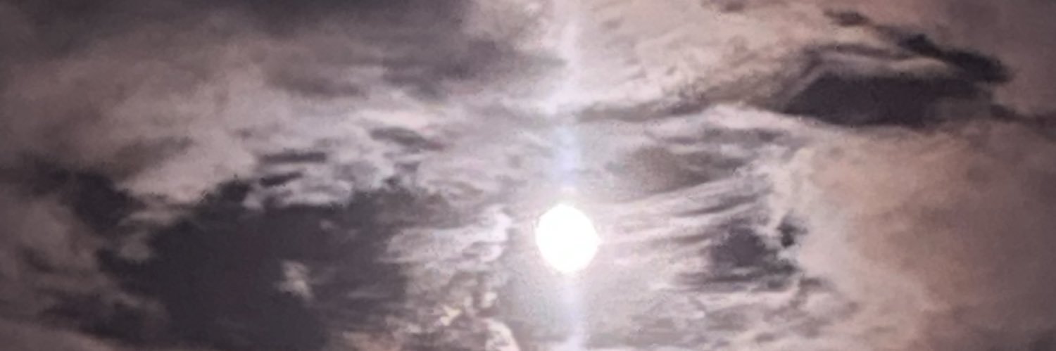 maybebrigid's profile banner image