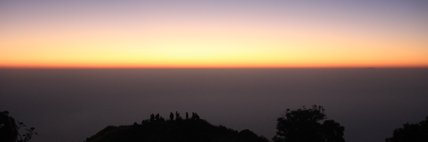 loislogia's profile banner image