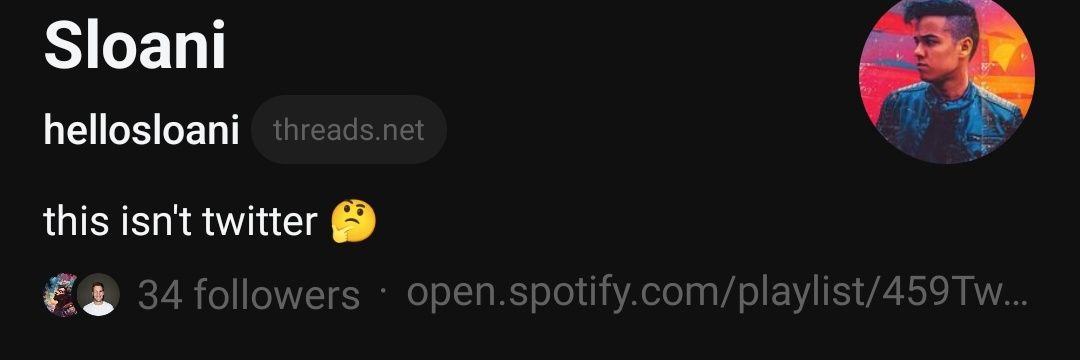 hellosloani's profile banner image