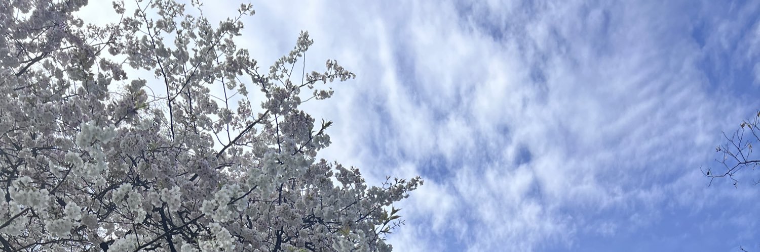 ももち@秋峰まこと banner