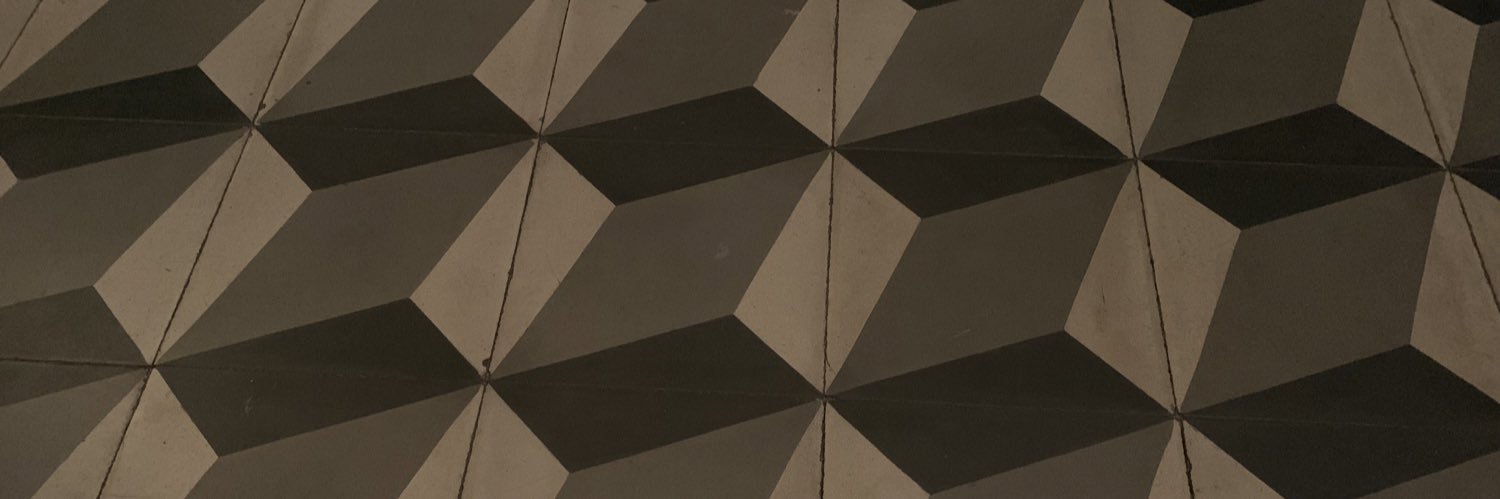 ninonigro's profile banner image