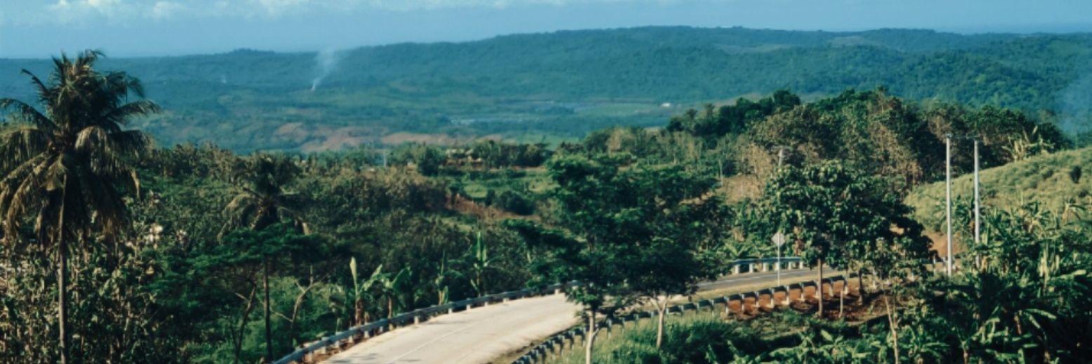 biarcepet_'s profile banner image
