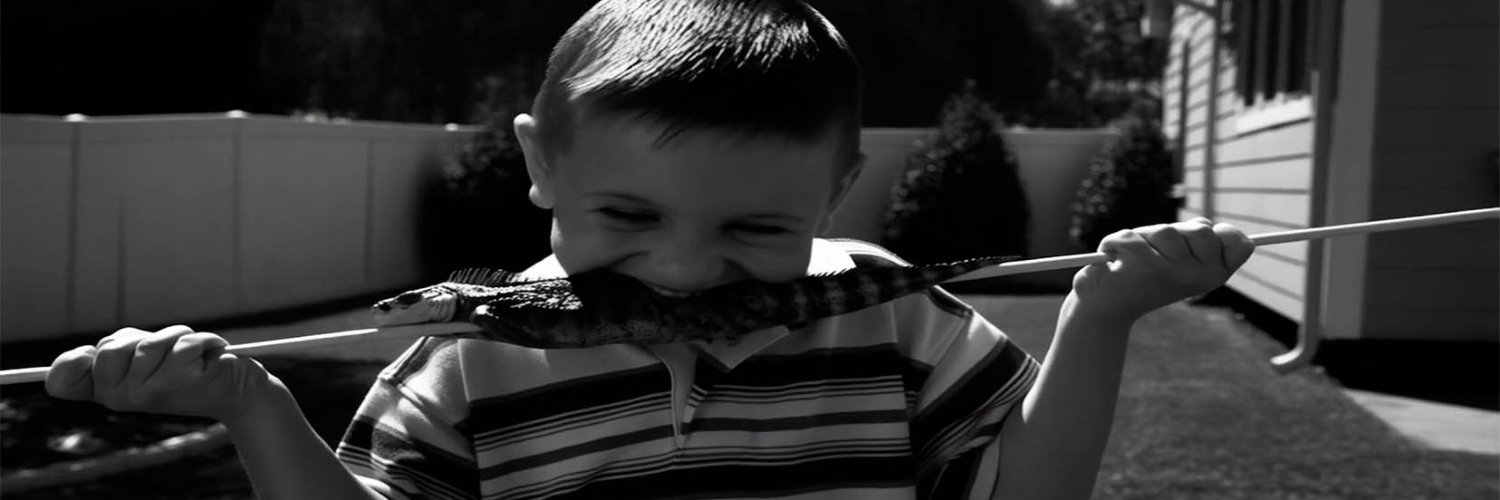 The Higherside Chats Podcast banner