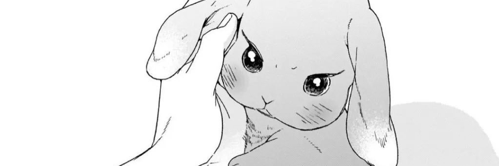 nottibbunny's profile banner image