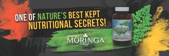deadseamoringa's profile banner image