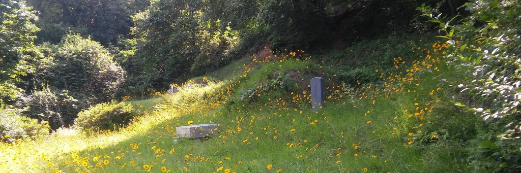 philomath01's profile banner image
