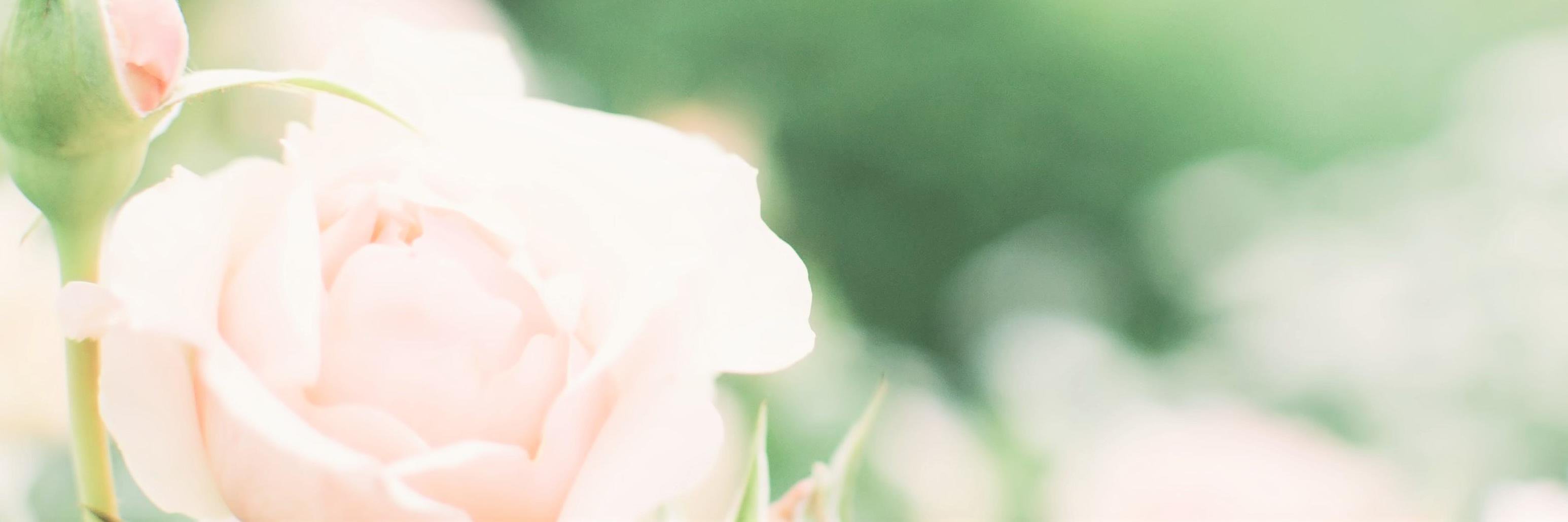 Riz602's profile banner image