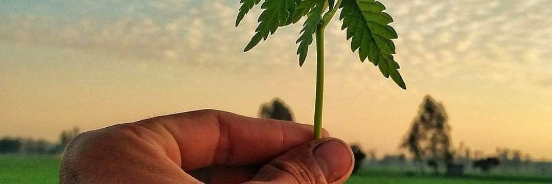 CoCo_LoCo22's profile banner image