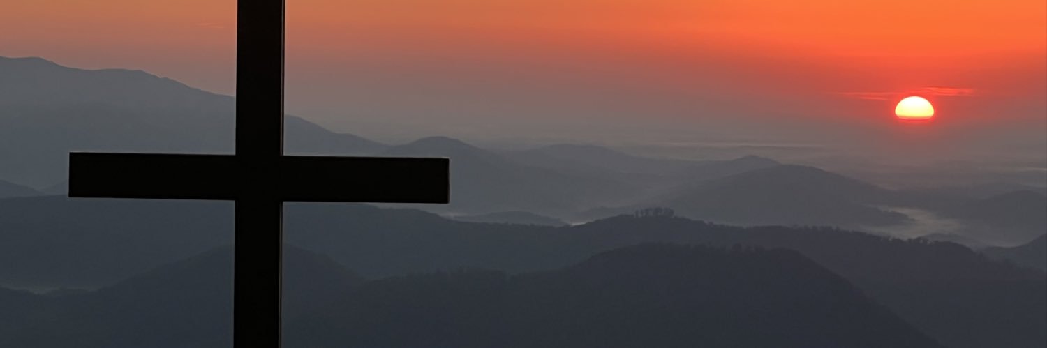 SouthernMimiTN's profile banner image