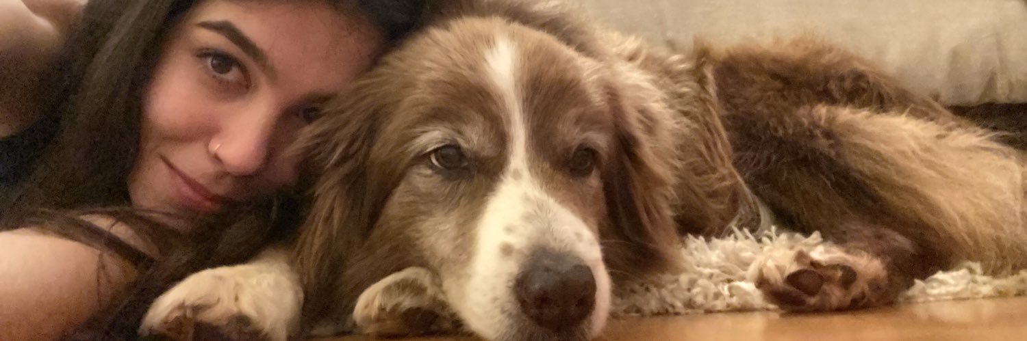 pellizzer__'s profile banner image