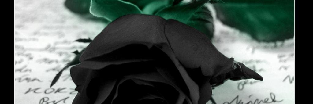 jtatan_'s profile banner image