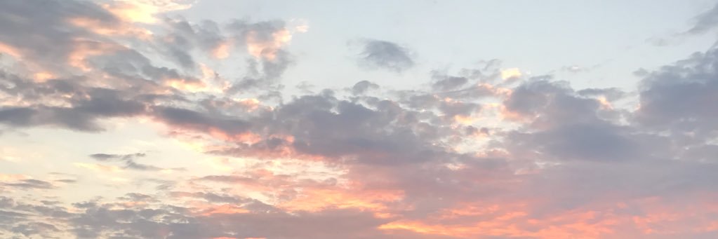 zastronl's profile banner image