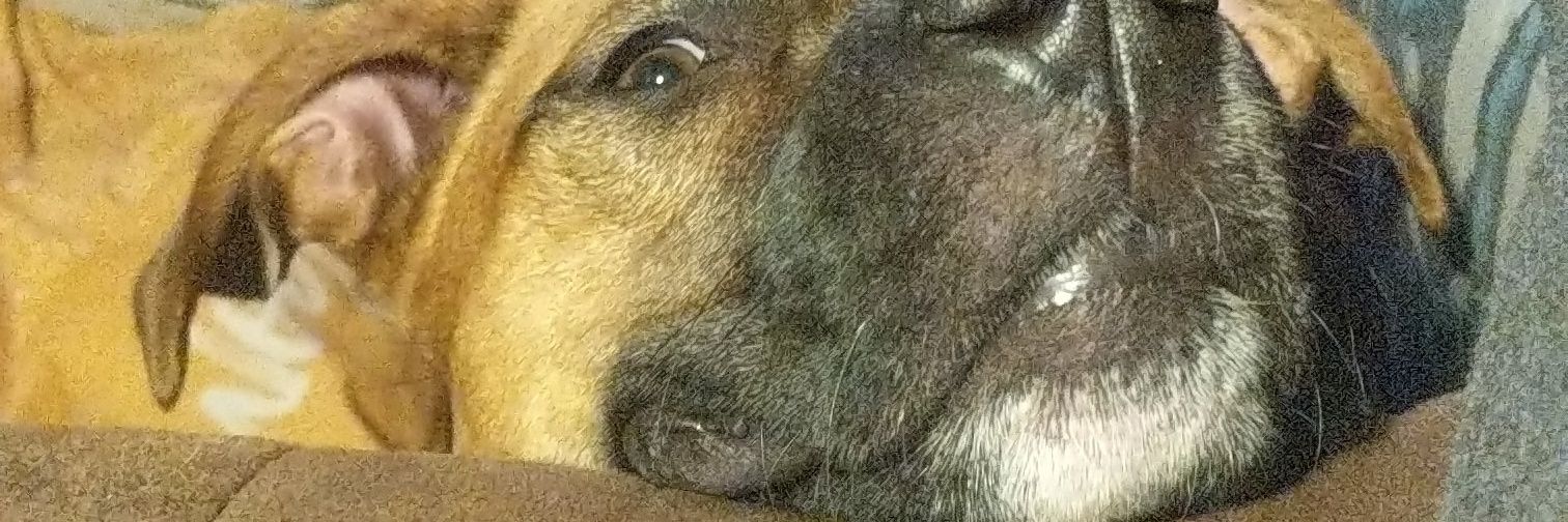 2crappz_'s profile banner image