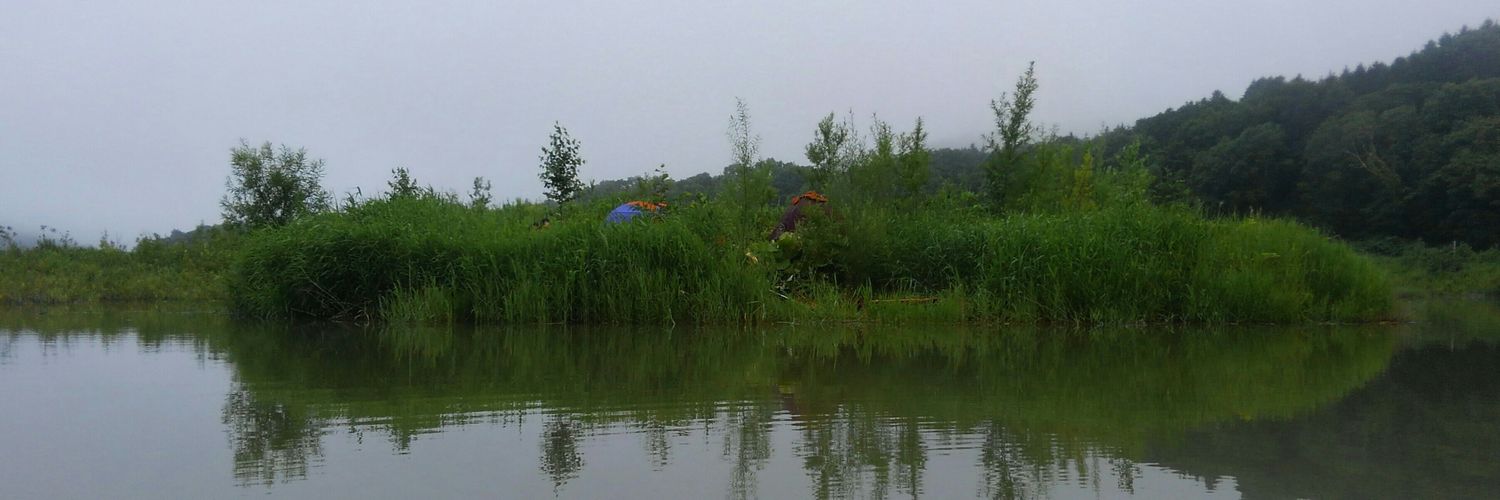 📛どんぐり工房 banner