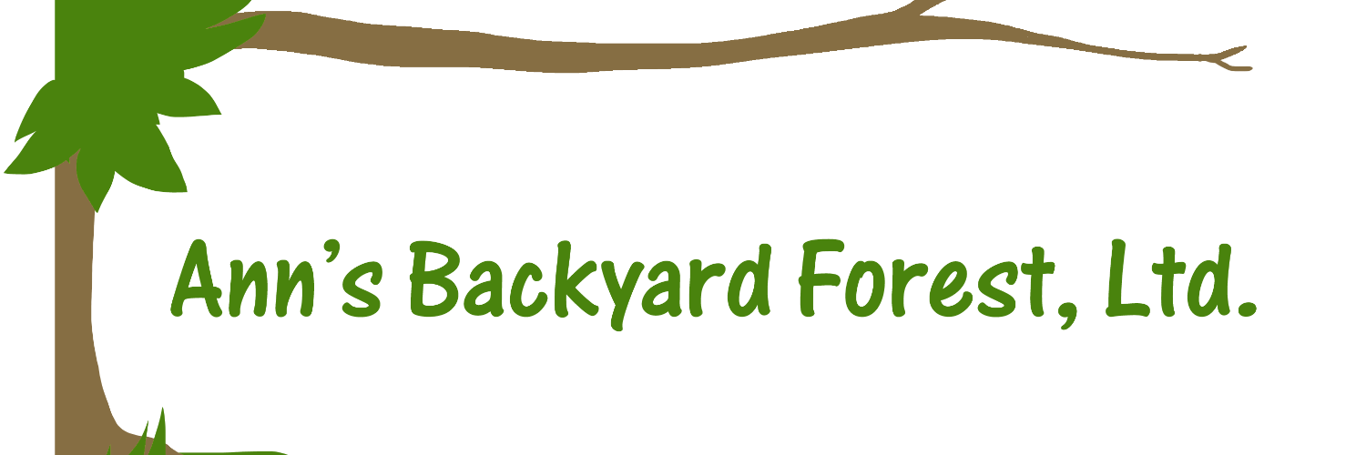 backyardforest's profile banner image