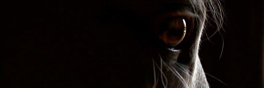 ashlideaon's profile banner image