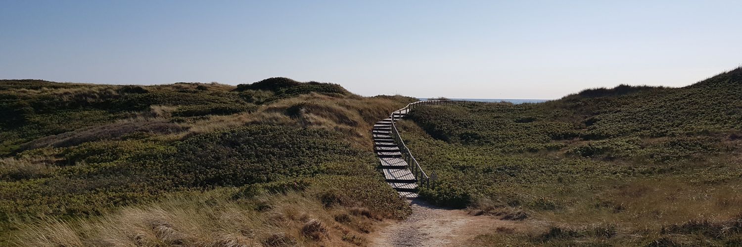 Alexander Querober banner
