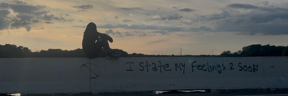 Its_Nemo_hoe's profile banner image