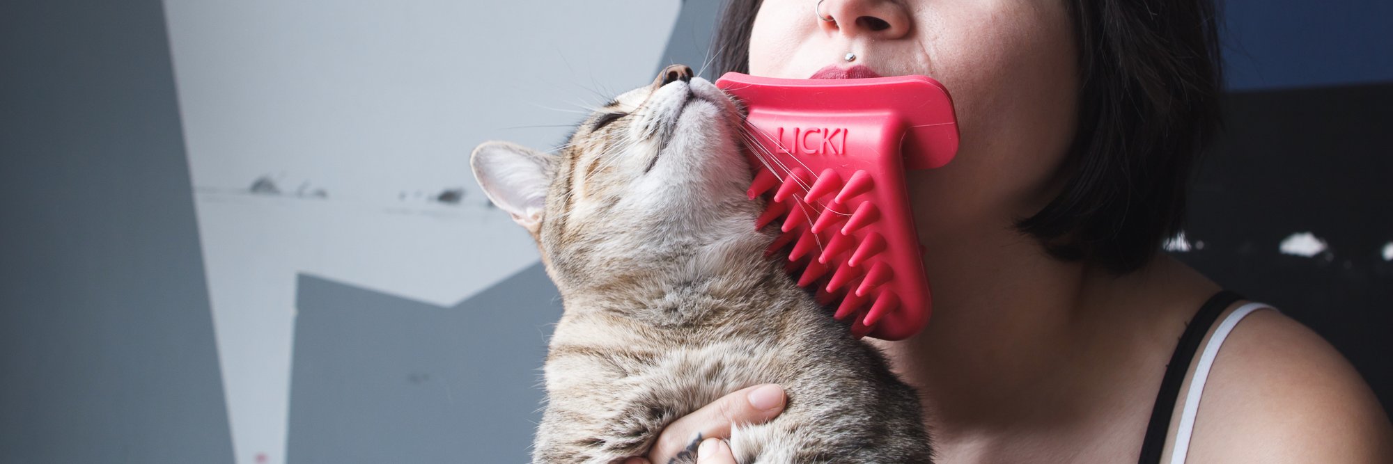 PDXPetDesign's profile banner image