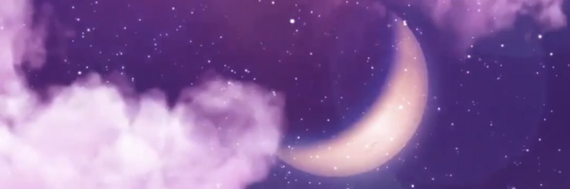 risaaans8's profile banner image