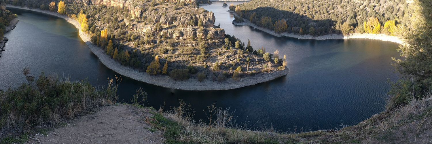 dmulligan's profile banner image