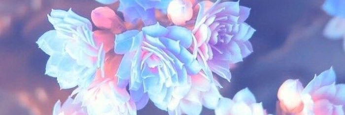 fernaid's profile banner image