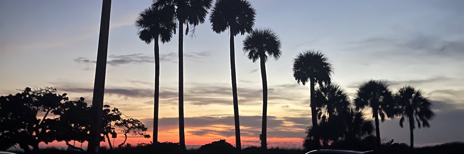luzmarrtinez's profile banner image