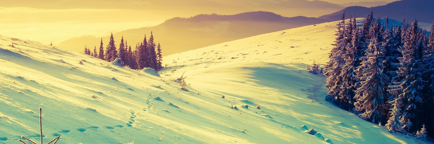 foker2338's profile banner image