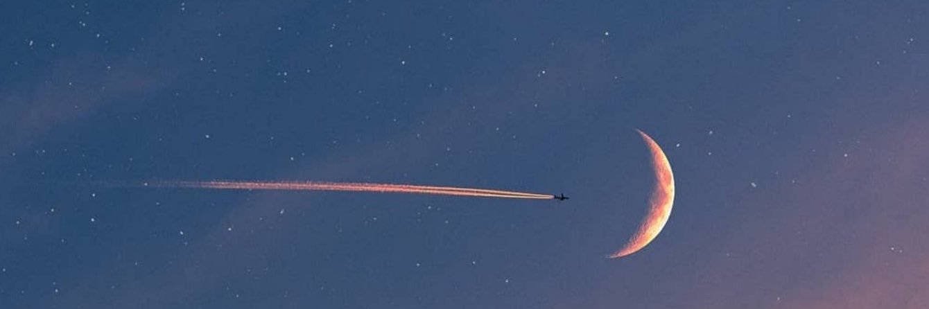 BeeAliese's profile banner image