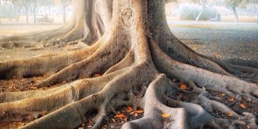 TheBoundFamily's profile banner image