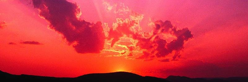 AriGrandeRP10's profile banner image
