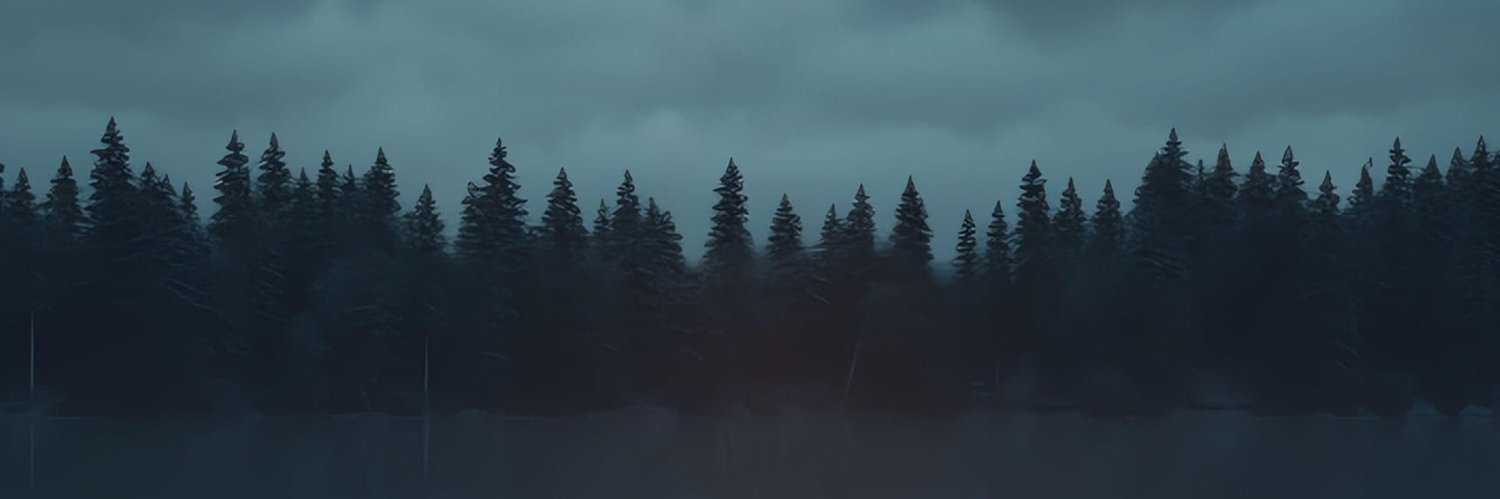 nonanise's profile banner image